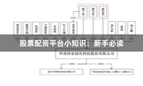 股票配资平台小知识：新手必读